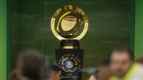 意大利戴维斯杯成功卫冕，辛纳助力再夺冠